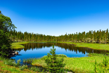 Blauer Waldsee in Norwegen, skandianvien