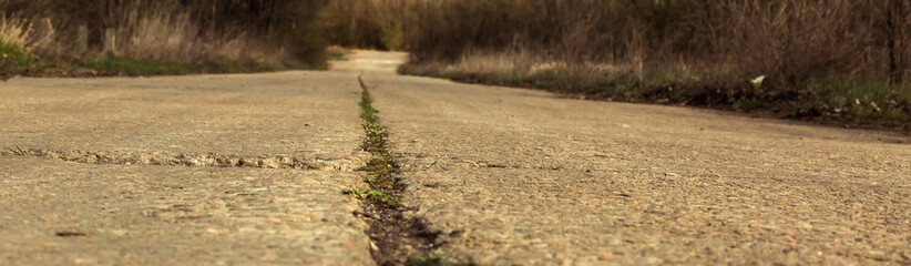 Cracked road in which grass grows