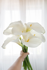 Woman holding calla lily bouquet 