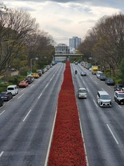 Shibuya - Tokyo - Japan road