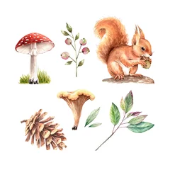 Fotobehang set of watercolor illustrations: red squirrel with mushrooms, berries and plants on a white background close-up © Lana