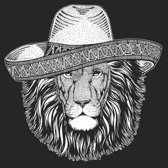 Lion head. Sombrero is traditional mexican hat. Mexico. Wild animal portrait. Face of african cat.