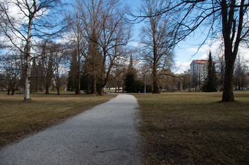 Obraz premium road in the park