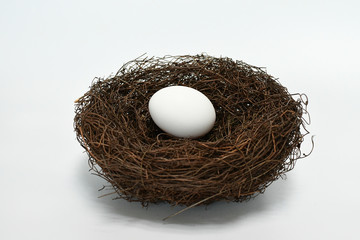 bird nest with egg isolated on white background