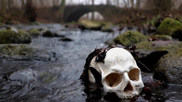 Human skull in water in forest with fog. Abandoned skull among rocks in a autumn brook with ancient stone bridge on background.
