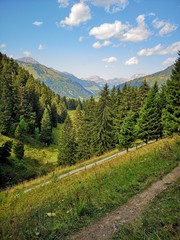 road in the mountains