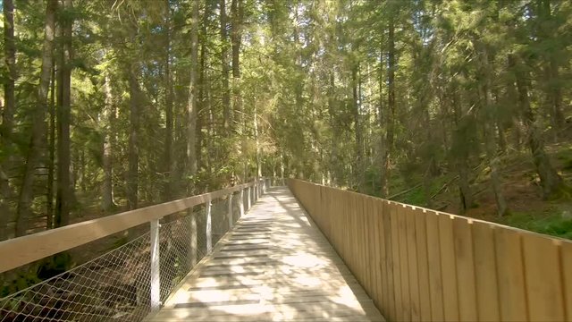entr&eacute;e en v&eacute;lo dans le parc Tyresta National Park (pont)