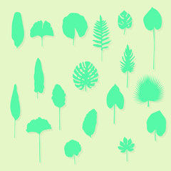 Set of exotic leafs silhouette in vector illustration.