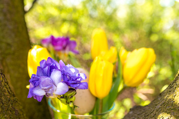 kwiaty-wiosna-kolorowo
