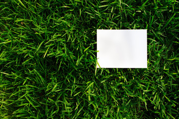 green grass with blank paper