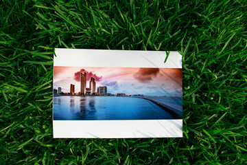  photo frame with grass