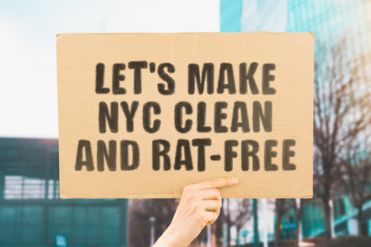 The phrase " Let's make NYC clean and rat-free " on a banner in hand. Human holds a cardboard with an inscription. Parasites in the city. Rats in subway. Dirty streets. Pollution. Pests. Tidy up