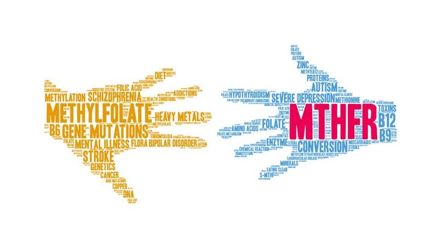MTHFR animated word cloud on a white background. 