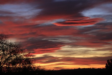 Fototapeta na wymiar Sunset over the field.