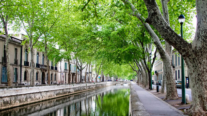 Canal du quai de la Fontaine à Nîmes sous les platanes (Occitanie, France) - obrazy, fototapety, plakaty