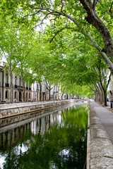 Canal du quai de la Fontaine à Nîmes sous les platanes (Occitanie, France)