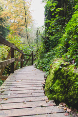 Obraz premium Chemin balisé vers la cascade de la Venoge à La Sarraz (Canton de Vaud, Suisse)