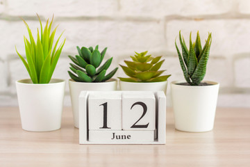 June 12 on a wooden calendar.One summer day, an empty space for text.Calendar for June on a light background.