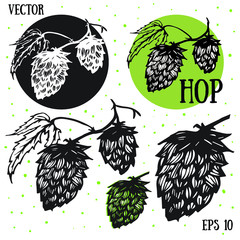 Hops vector visual graphic icons or logos, ideal for beer, stout, lager, bitter labels & packaging. 