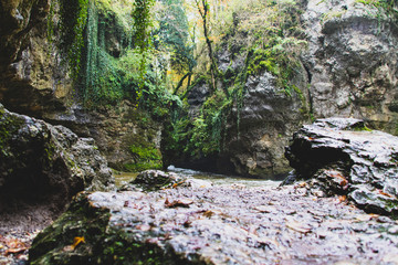 Cascade de la Venoge à l’automne (Canton de Vaud, Suisse)