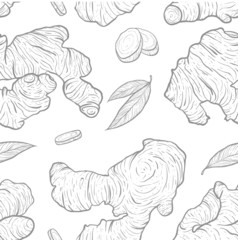 Vector hand drawn Ginger seamless pattern.