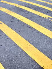 yellow line on asphalt