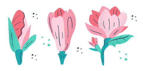 Little pink magnolia flowers set. Flora design elements. Wild life, nature, blooming flowers, botanic. Flat colourful vector illustration icon sticker isolated on white background.
