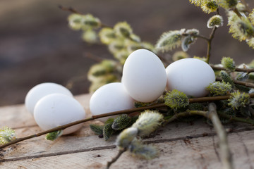 Spring still life with white chicken eggs