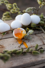 Spring still life with white chicken eggs