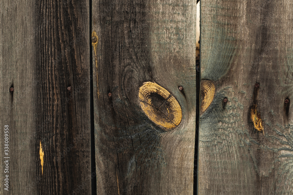 Canvas Prints old wooden door