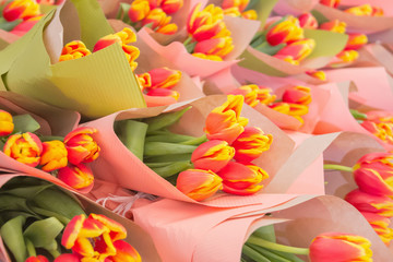 Background of bukets of red and yellow tulips