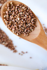 coffee beans on wooden spoon