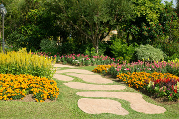 path way in garden in the flowers garden.