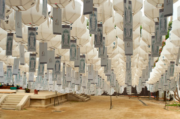 Rows of white lanterns in temple