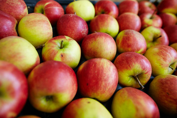 Pommes fraîches rouge et vertes