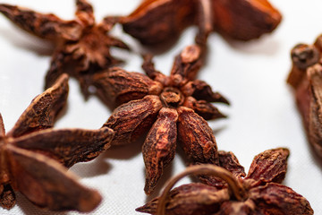 Close-up of various dried star anise capsules (Illicium verum)