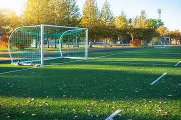 Football goal on the green field. 