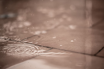 El dibujo del agua en un charco
