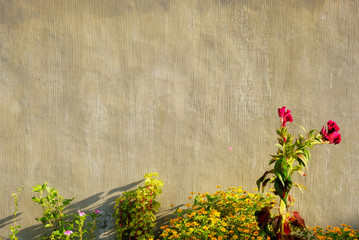 rough wall with flowers bloom, spring themed background