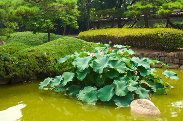 Royal tomb in Gimhae in summer