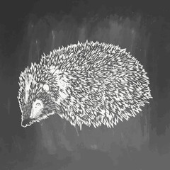 Realistic hedgehog drown on chalkboard. Vector illustration on blackboard. Animal sketch. EPS 10. Vector drawing of animal for greeting card, invitation, print, web project. Hand drawn illustration