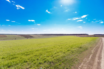Fototapeta na wymiar green field with blue sky and white clouds