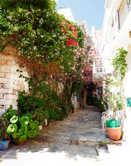 Fototapeta na wymiar One of the charms of the Greek islands in the heart of the cyclades, are its narrow streets : white houses with small flowered balconies touching almost above paved streets