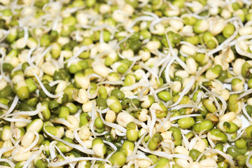 Fototapeta na wymiar Healthy bean sprouts on a white plate. Green beans background.Healthy food