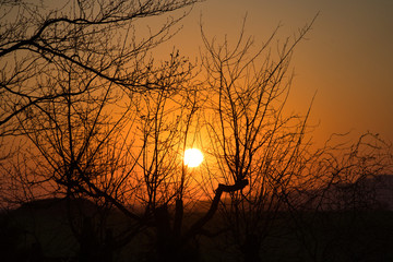 Romantischer Sonnenaufgang, Sonnenuntergang auf dem Land - oranger Himmel, Bäume und Äste als Schatten, im Hintergrund der Hesselberg