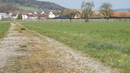 Feldweg zum Dorf