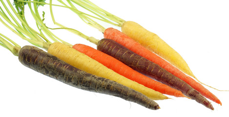 Colorful organic carrot isolated on white background