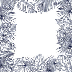 Fototapeta na wymiar Tropical palm leaves square frame.