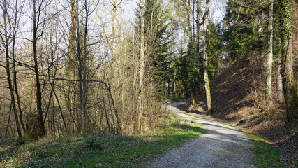 Waldweg