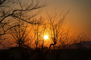 Romantischer Sonnenaufgang, Sonnenuntergang auf dem Land - oranger Himmel, B&auml;ume und &Auml;ste als Schatten, im Hintergrund der Hesselberg